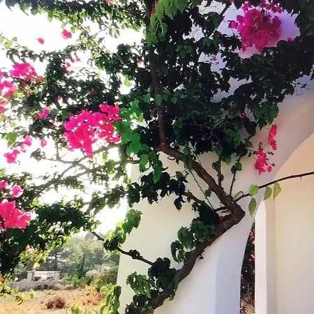 Madeline Villa Rhodes City